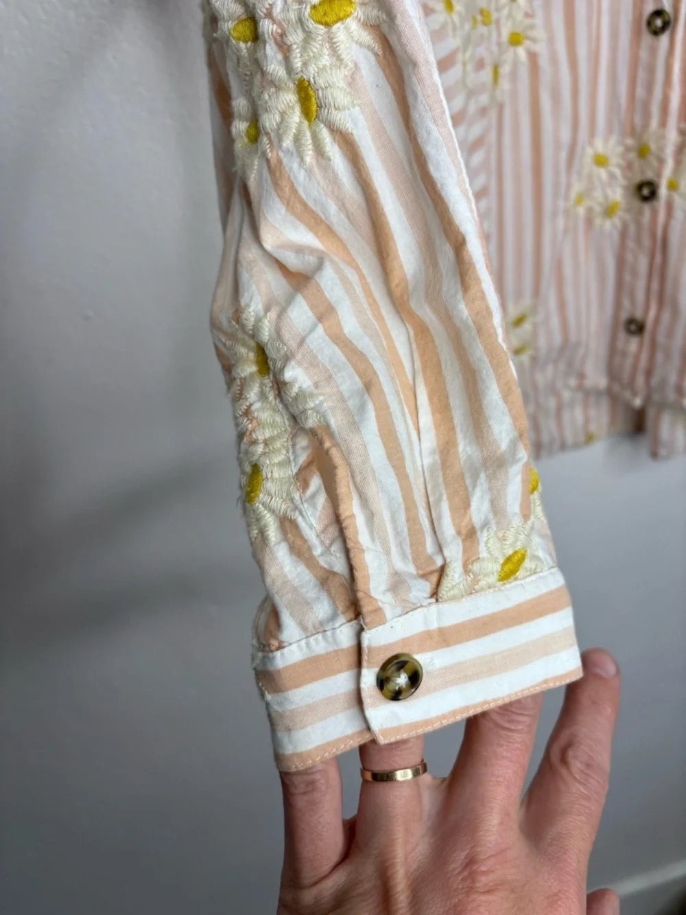 BDG Pink Ivory Stripped Oversized Button Down With Embroidered Daisies Size XS - Picture 5 of 9